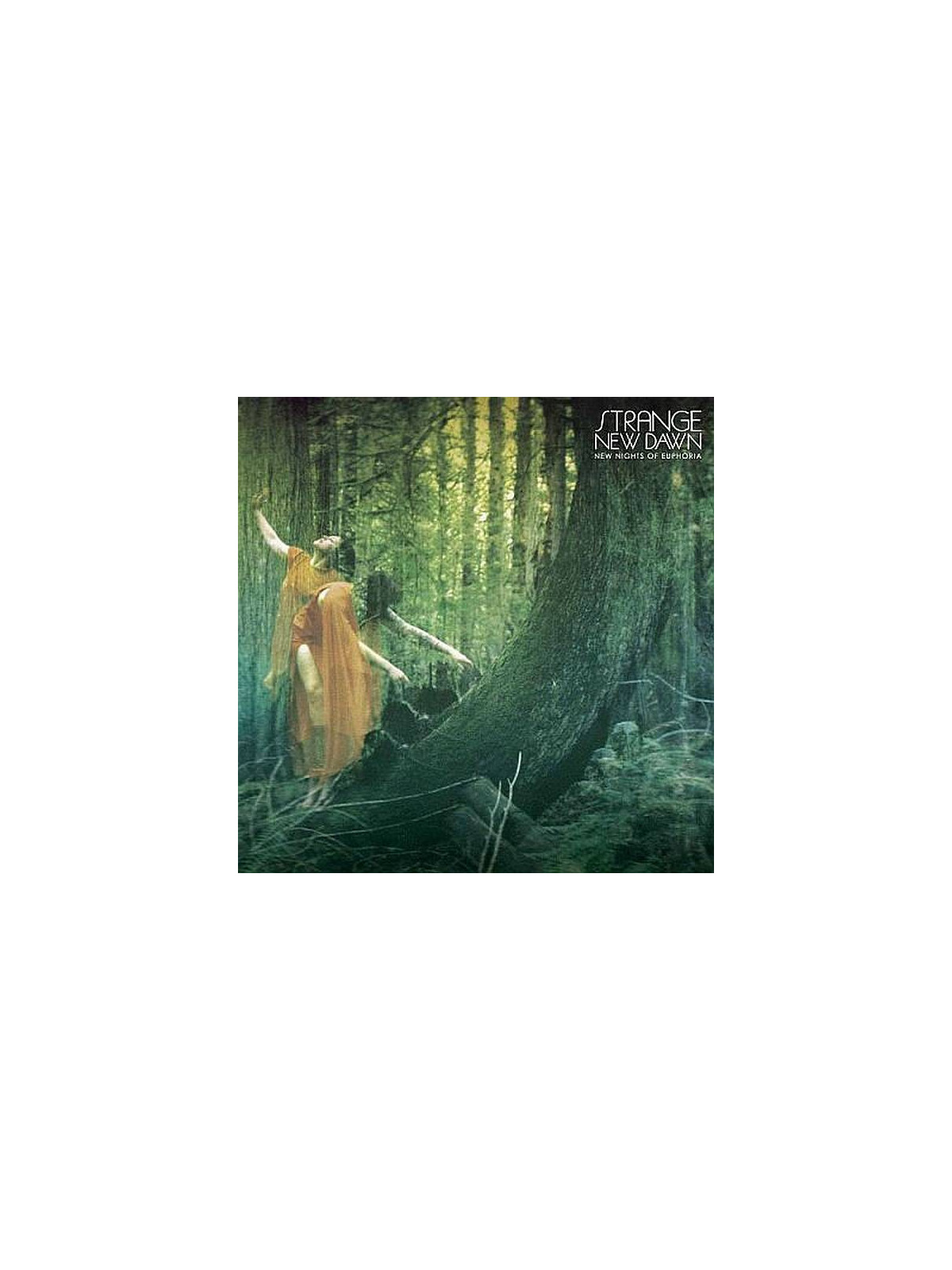 Strange new dawn : New nights of euphoria (CD)