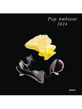 Compilation : Pop ambient 2024 (CD)