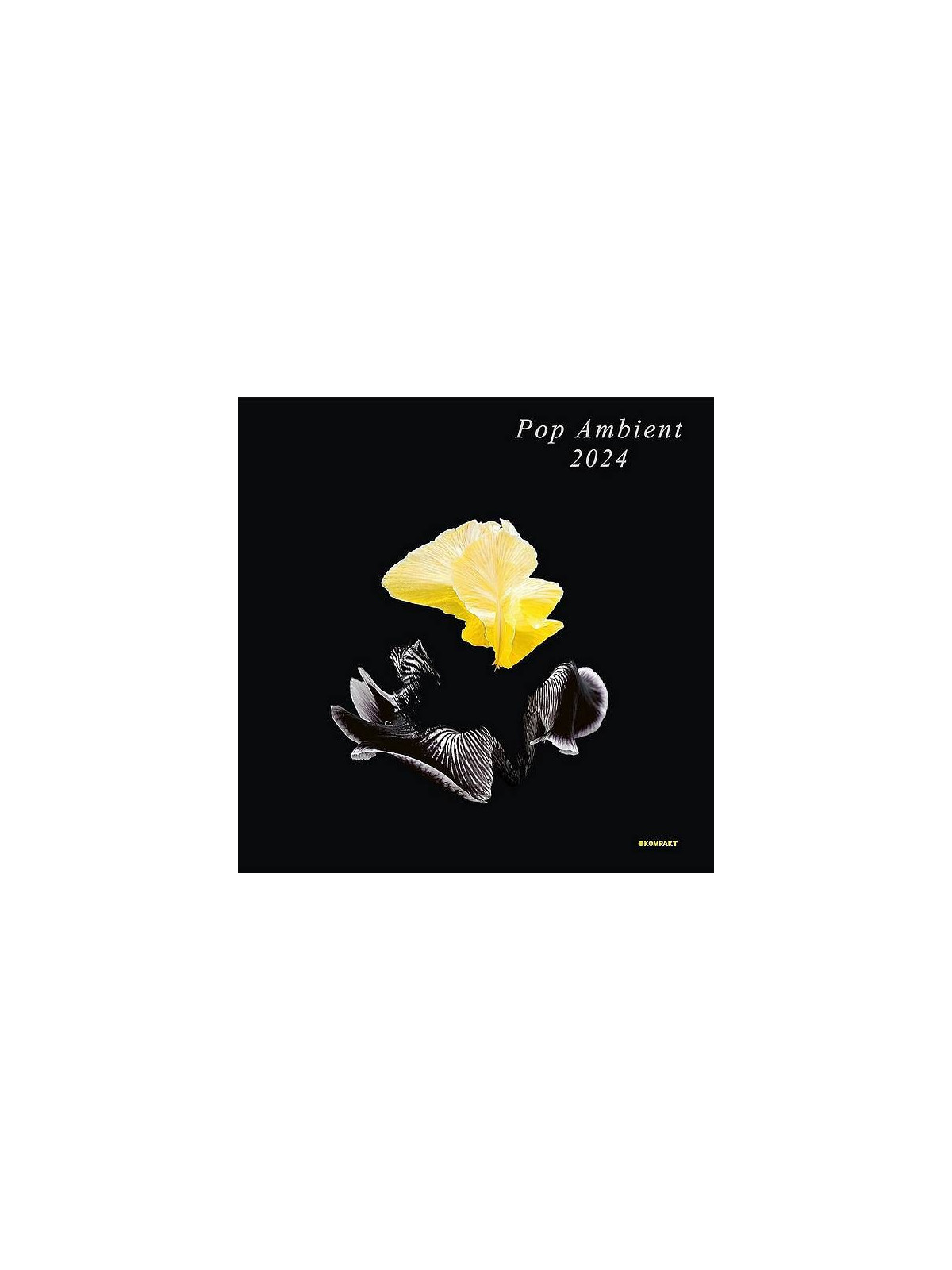 Compilation : Pop ambient 2024 (CD)