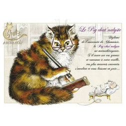 Carte postale Séverine Pineaux : Le psychat’nalyste en stock à ciel rouge dijon