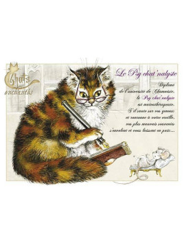 Carte postale Séverine Pineaux : Le psychat’nalyste en stock à ciel rouge dijon