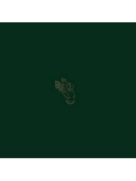 Burning witch : Towers (12’’ vinyl)