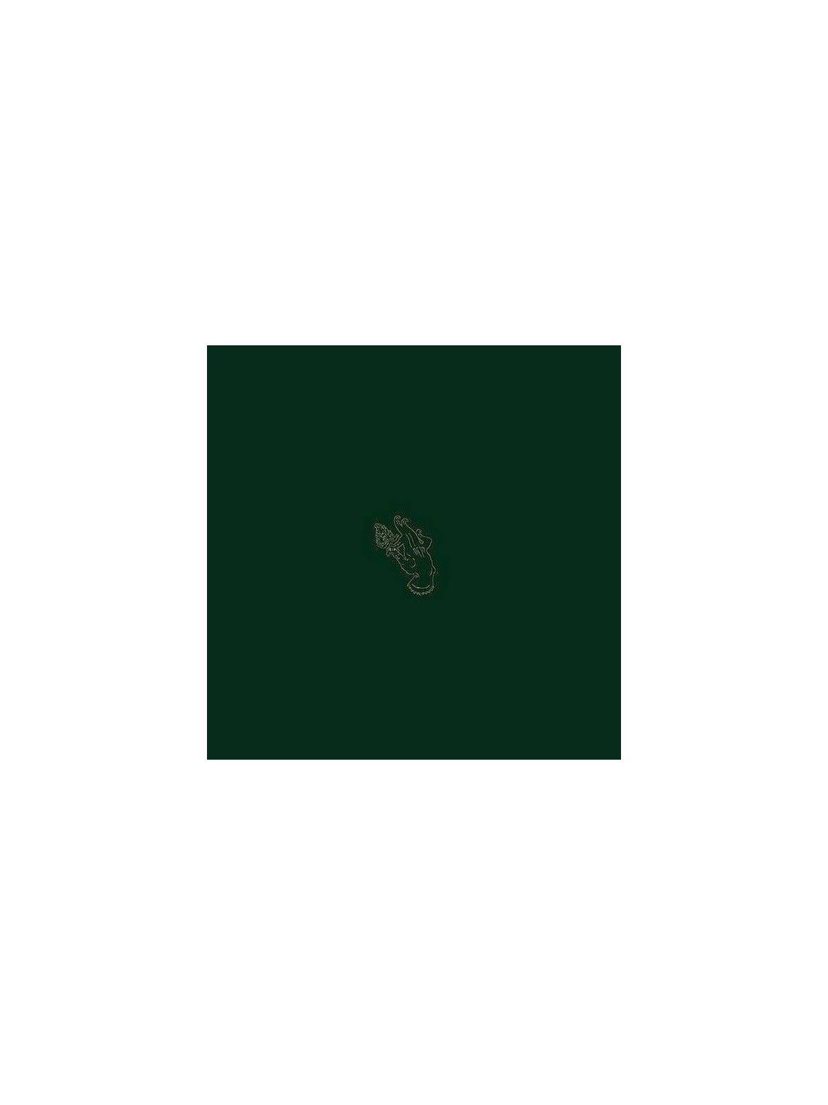 Burning witch : Towers (12’’ vinyl)