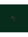 Burning witch : Towers (12’’ vinyl)