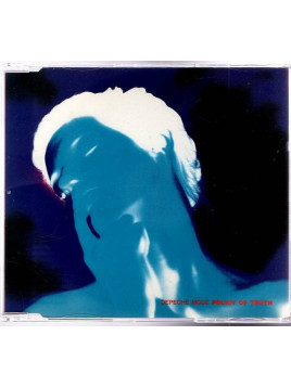 Depeche mode : Policy of truth (CD)