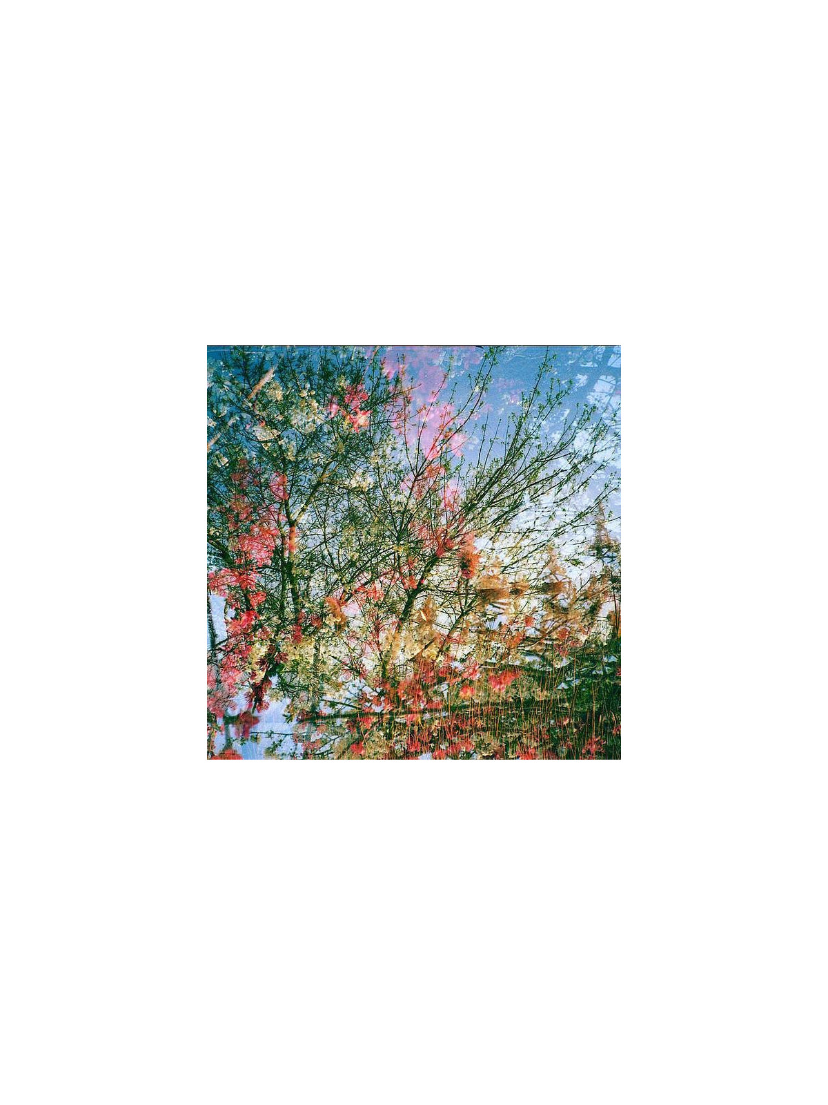 Bélier mérinos : Triste, mais en tout temps joyeux (2 X 12’’ vinyl)