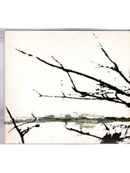 Tenhi : Väre (CD)