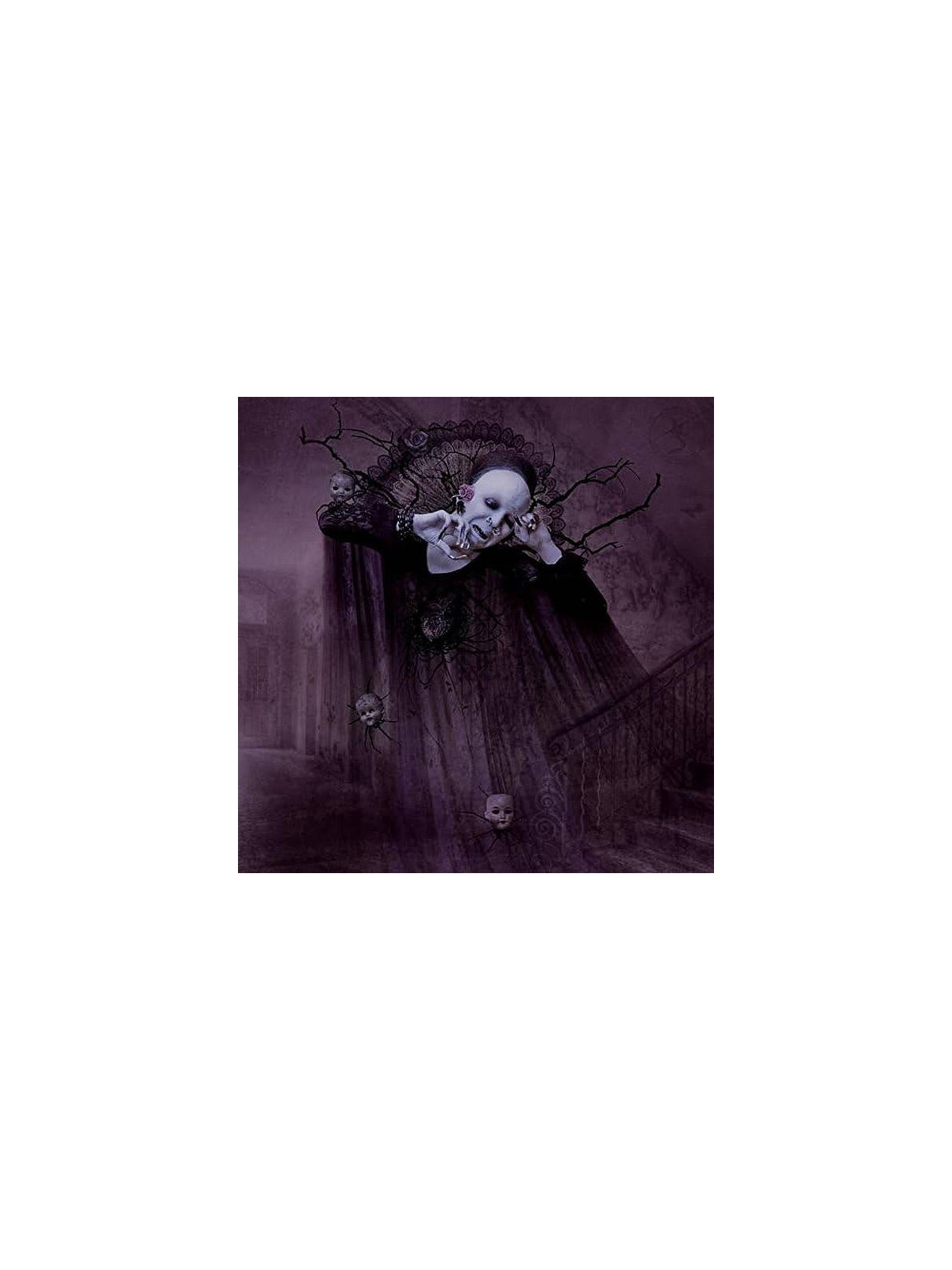 Sopor aeternus & the ensemble of shadows : Mitternacht (Ltd edition 2 X 12’’ vinyl)