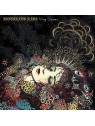 Vanishing kids : Heavy dreamer (CD)