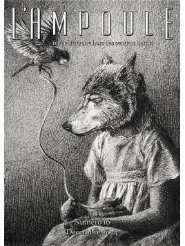 la revue L’ampoule hors-série N°16 est en stock à la librairie ciel rouge à dijon