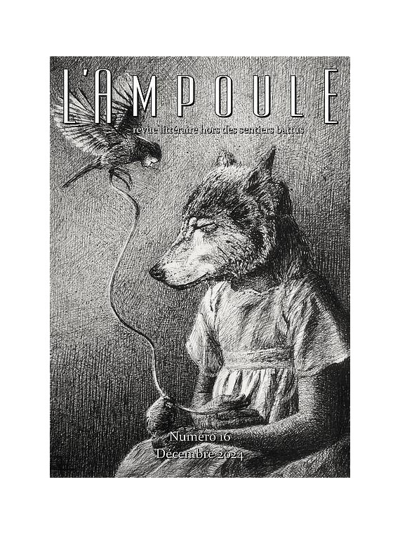 la revue L’ampoule hors-série N°16 est en stock à la librairie ciel rouge à dijon
