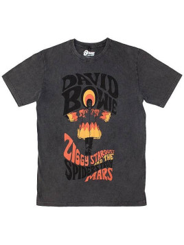 T-shirt David Bowie : Ziggy Stardust stone wash