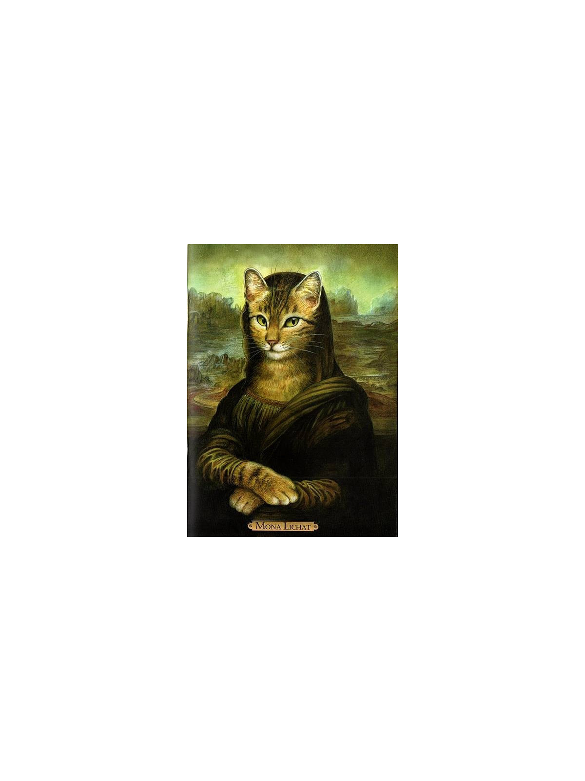 Carnet A6 Mona Lichat (Séverine Pineaux)