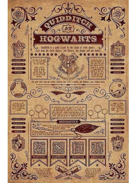 Affiche Harry Potter : Quidditch at Hogwarts