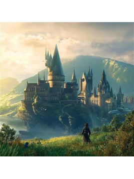 le vinyle de Hogwarts legacy est en stock à Ciel rouge, disquaire indépendant à Dijon