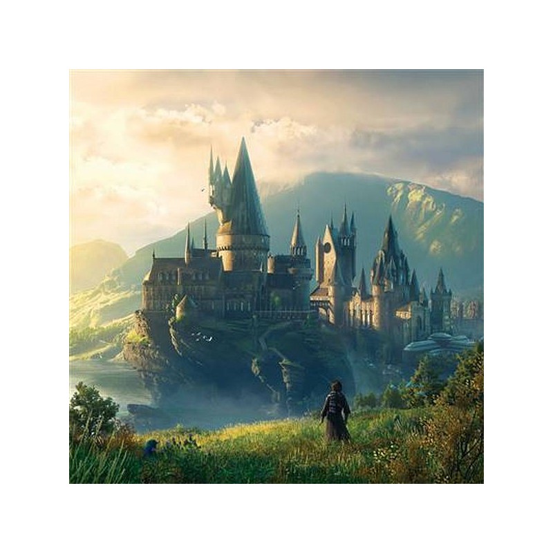le vinyle de Hogwarts legacy est en stock à Ciel rouge, disquaire indépendant à Dijon
