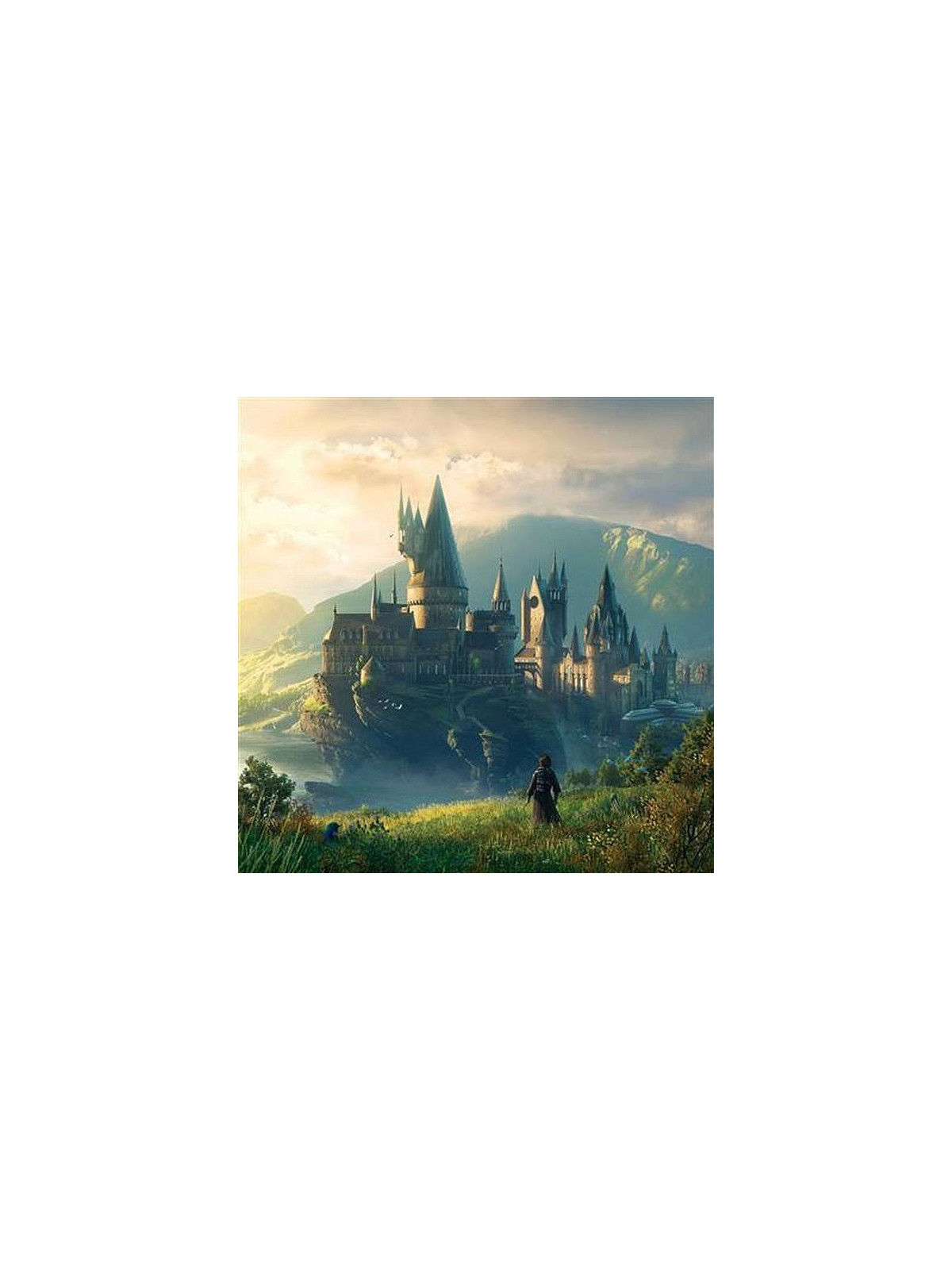 le vinyle de Hogwarts legacy est en stock à Ciel rouge, disquaire indépendant à Dijon