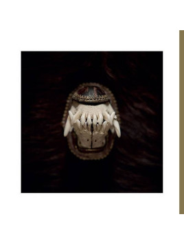 Amenra : De toorn (Ltd edition 12’’ vinyl)