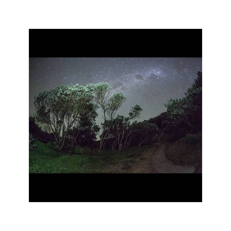 Esben and the witch disque Older terrors en CD à ciel rouge dijon