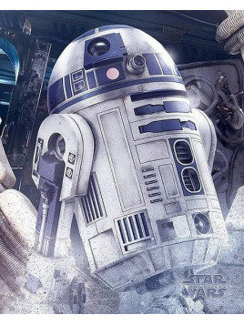 L'affiche Star wars The last Jedi R2D2 droid est disponible à Ciel rouge