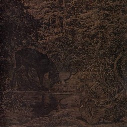 le disque de Agalloch : Of stone, wind & pillor est en stock en cd à ciel rouge, disquaire à Dijon