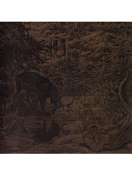 le disque de Agalloch : Of stone, wind & pillor est en stock en cd à ciel rouge, disquaire à Dijon