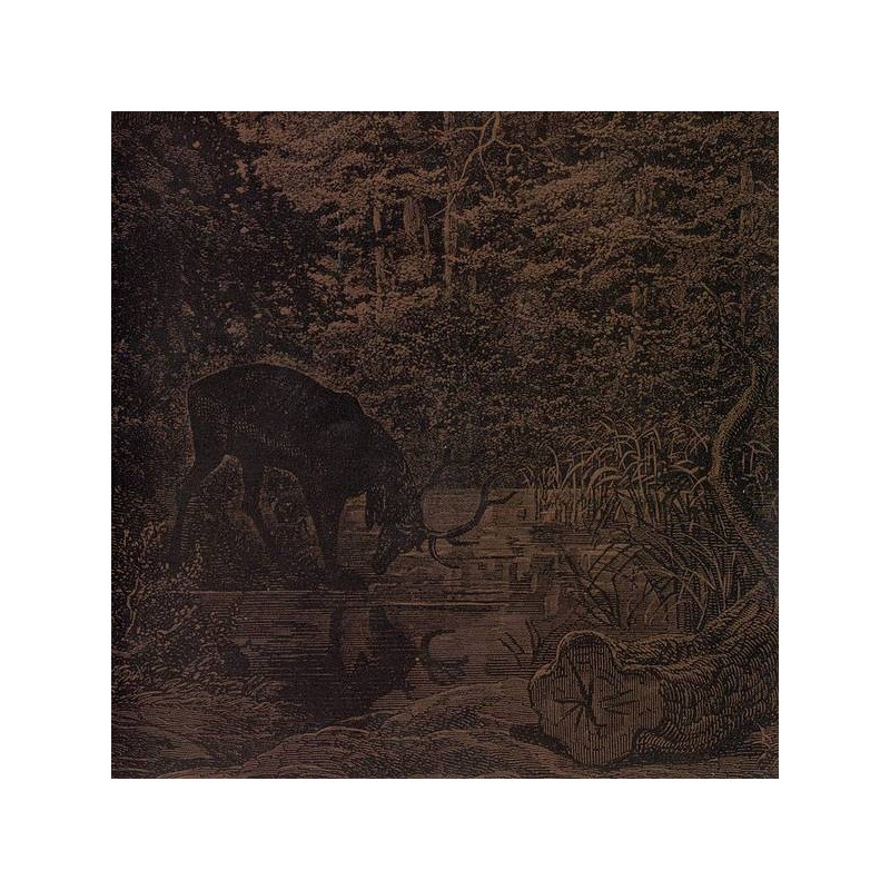 le disque de Agalloch : Of stone, wind & pillor est en stock en cd à ciel rouge, disquaire à Dijon