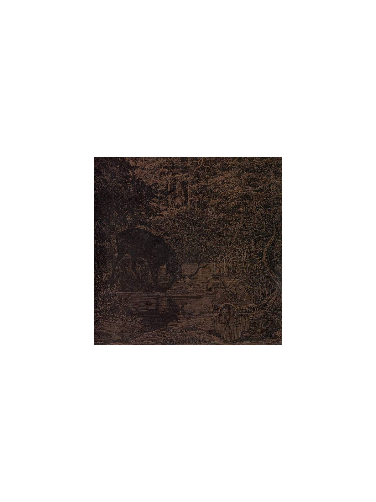 le disque de Agalloch : Of stone, wind & pillor est en stock en cd à ciel rouge, disquaire à Dijon
