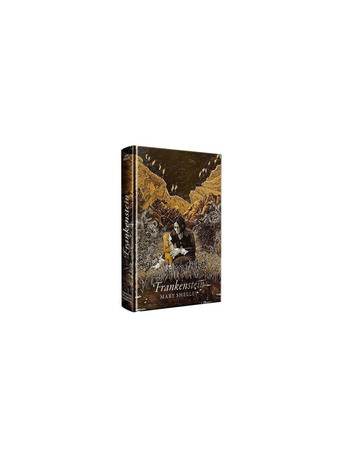 Mary Shelley : Frankenstein