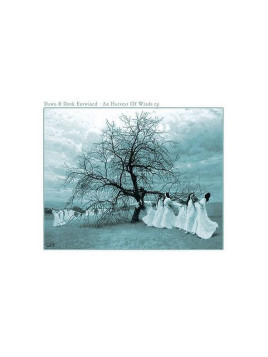 disque de Dawn & dusk entwined : A harvest of winds EP en stock en vinyle à ciel rouge, disquaire à dijon