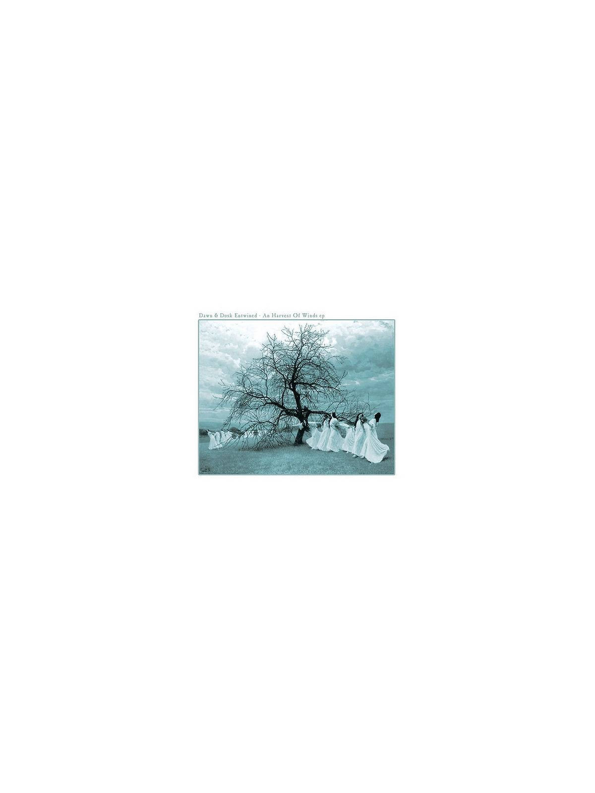 disque de Dawn & dusk entwined : A harvest of winds EP en stock en vinyle à ciel rouge, disquaire à dijon