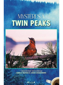 Johan Chiaramonte & Camille Mathieu : Mystères à Twin peaks