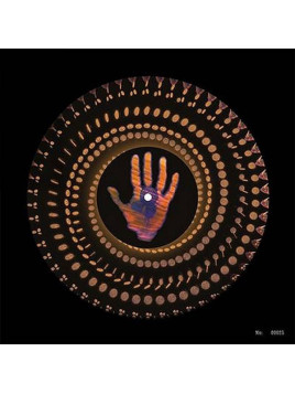 le disque de George Harrison : Living in the material world en édition black Friday est en stock à Ciel rouge, disquaire à Dijon