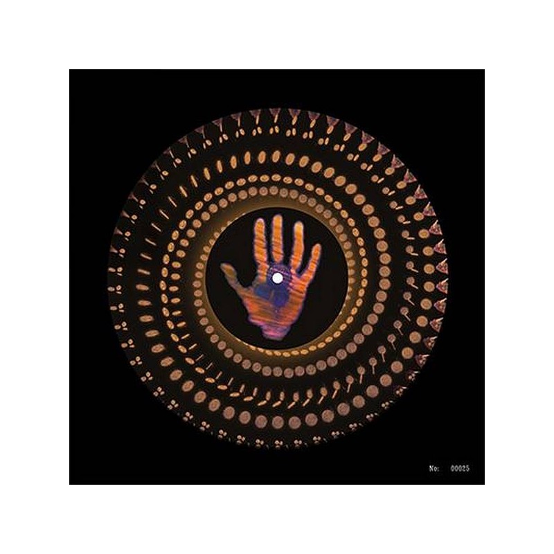 le disque de George Harrison : Living in the material world en édition black Friday est en stock à Ciel rouge, disquaire à Dijon