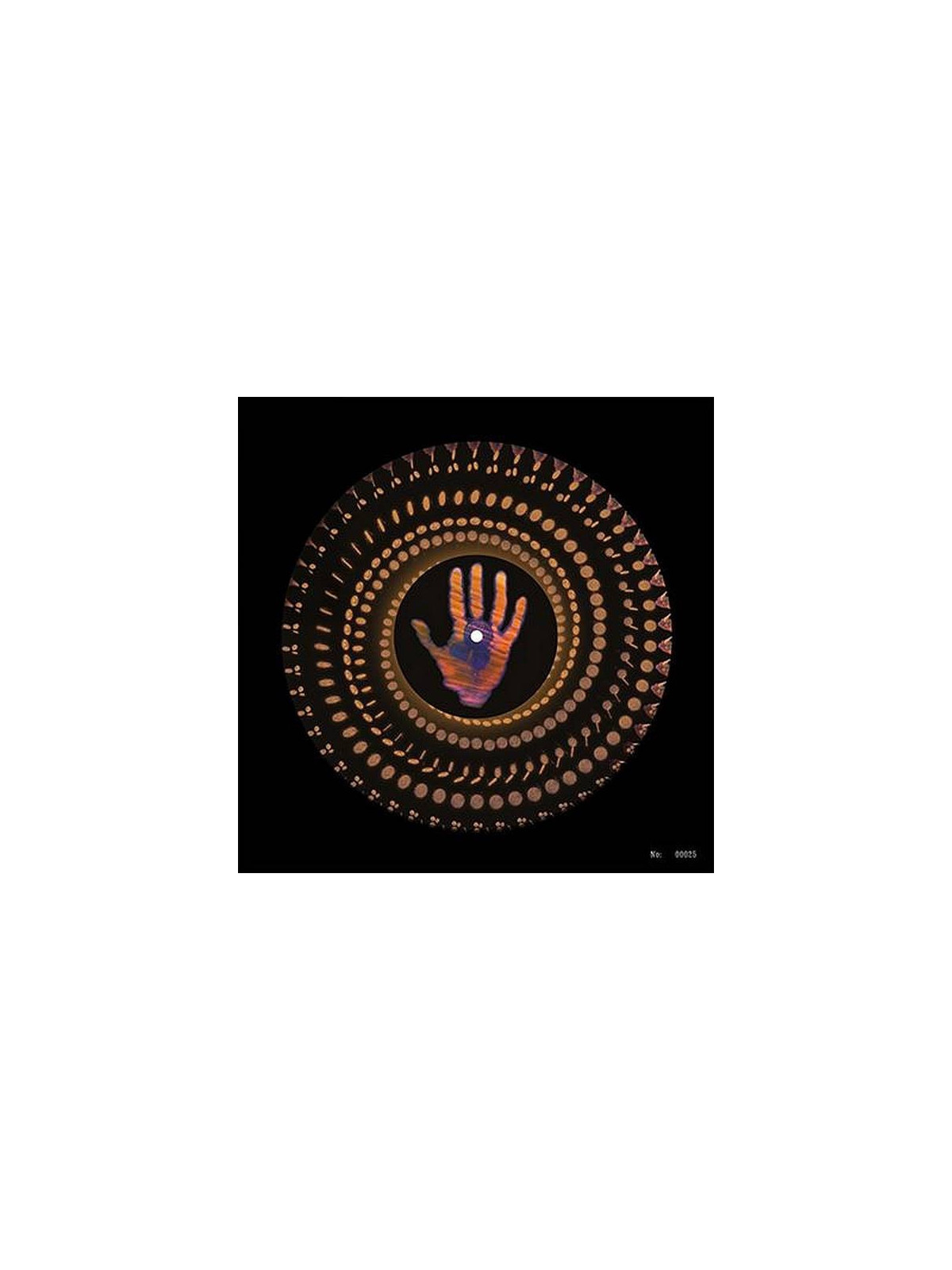 le disque de George Harrison : Living in the material world en édition black Friday est en stock à Ciel rouge, disquaire à Dijon