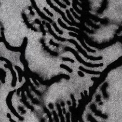 le disque de Rebis : Sans motif apparent est en stock en cd à ciel rouge, disquaire à dijon