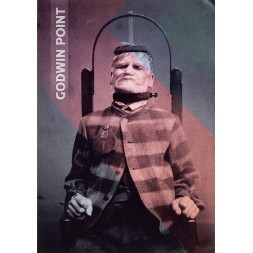 le disque de Godwin point : I est en stock en cd à ciel rouge, disquaire à Dijon