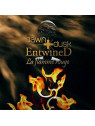 le disque de Dawn & dusk entwined : La flamme rouge est en stock en cd à ciel rouge, disquaire à Dijon