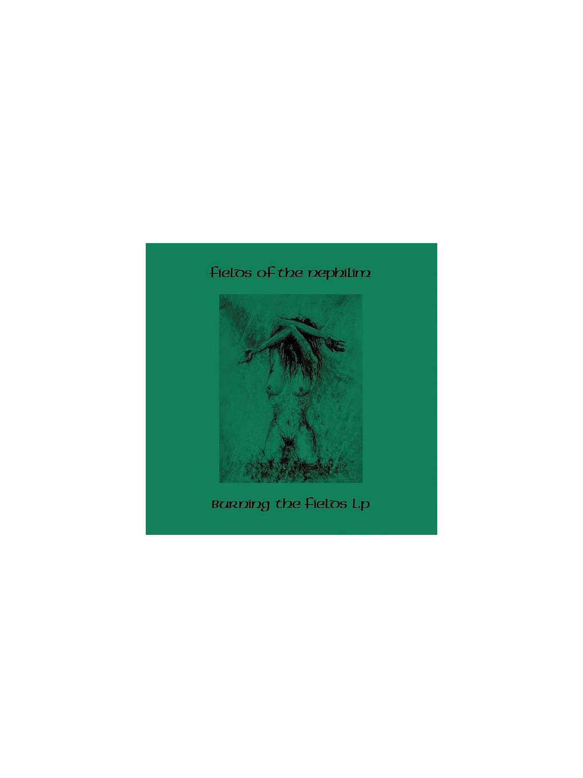 Le disque de Fields of the Nephilim : Burning the fields L.P est en stock en vinyle à Ciel rouge, disquaire à Dijon