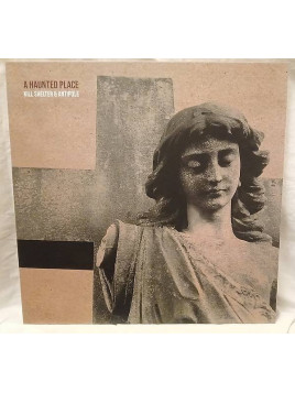 Le vinyle violet rock electro A haunted place de Kill shelter & Antipole est disponible en occasion à Ciel rouge Dijon