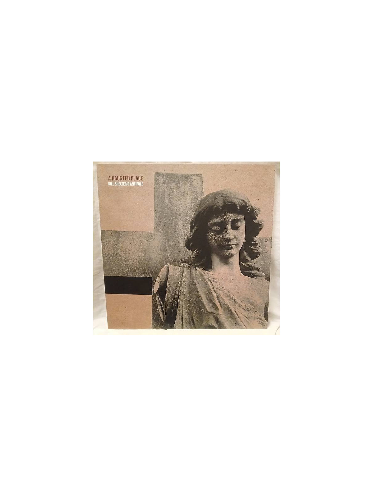 Le vinyle violet rock electro A haunted place de Kill shelter & Antipole est disponible en occasion à Ciel rouge Dijon
