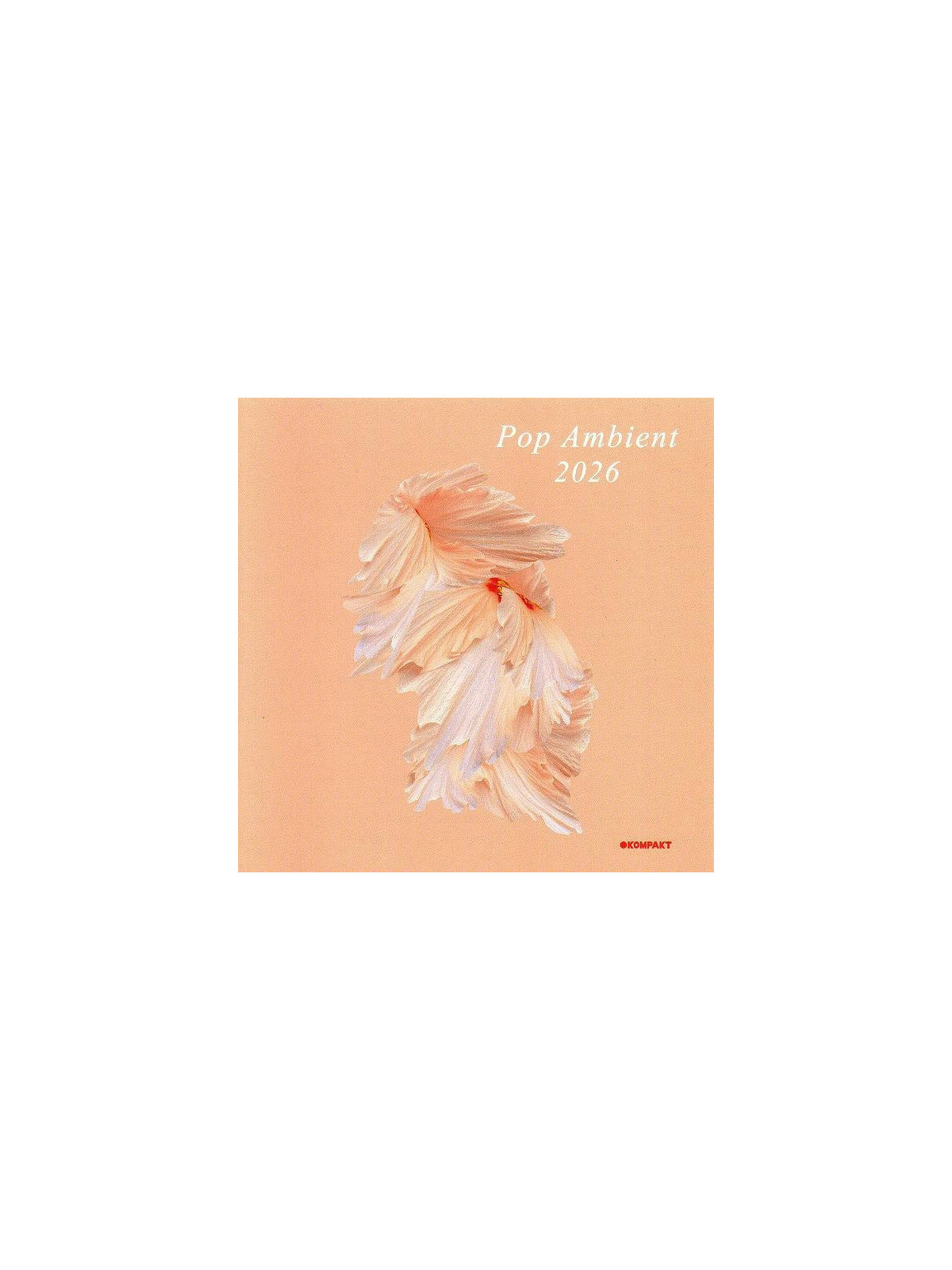 La compilation electro Pop ambient 2026 est disponible à Ciel rouge Dijon