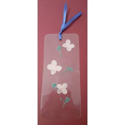 Le marque-page transparent avec fleurs séchées est disponible à Ciel rouge Dijon