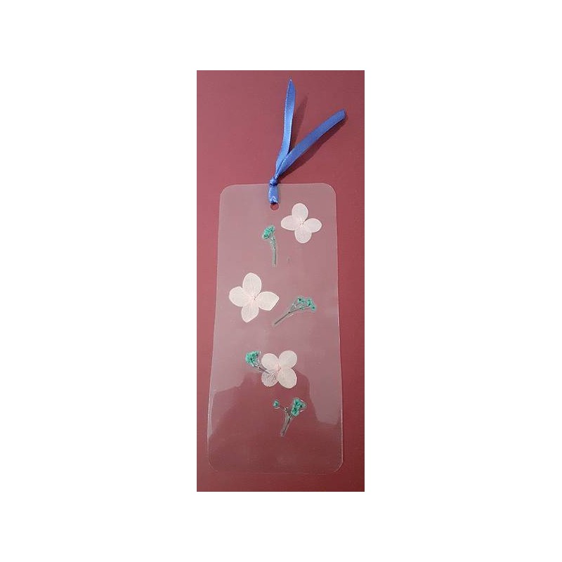 Le marque-page transparent avec fleurs séchées est disponible à Ciel rouge Dijon