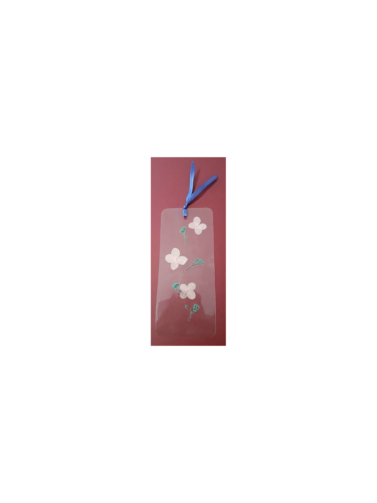 Le marque-page transparent avec fleurs séchées est disponible à Ciel rouge Dijon