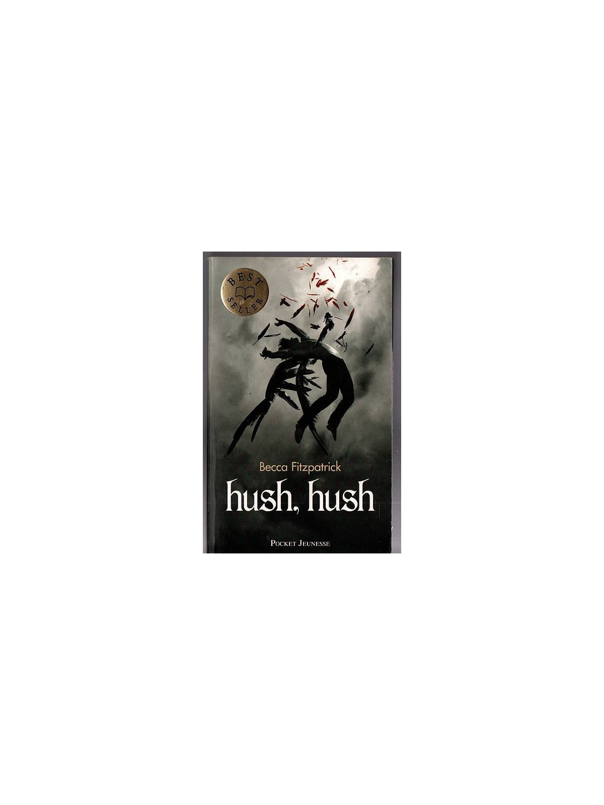 Le roman fantastique Hush hush de Becca Fitzpatrick est disponible en occasion à Ciel rouge Dijon