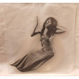 Le disque de Kate Bush : Stand up & talk! est disponible en vinyle à Ciel rouge, disquaire à Dijon