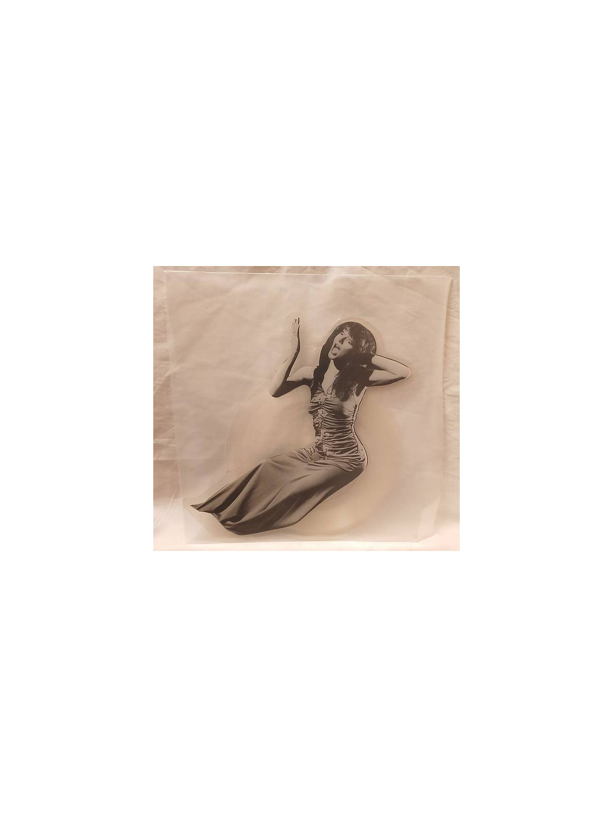 Le disque de Kate Bush : Stand up & talk! est disponible en vinyle à Ciel rouge, disquaire à Dijon