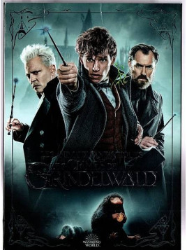 Le film de David Yates : Les animaux fantastiques – les crimes de Grindelwald est en stock en dvd à la boutique ciel rouge