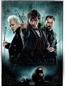 Le film de David Yates : Les animaux fantastiques – les crimes de Grindelwald est en stock en dvd à la boutique ciel rouge